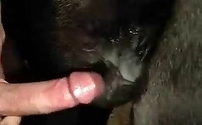 dick, big